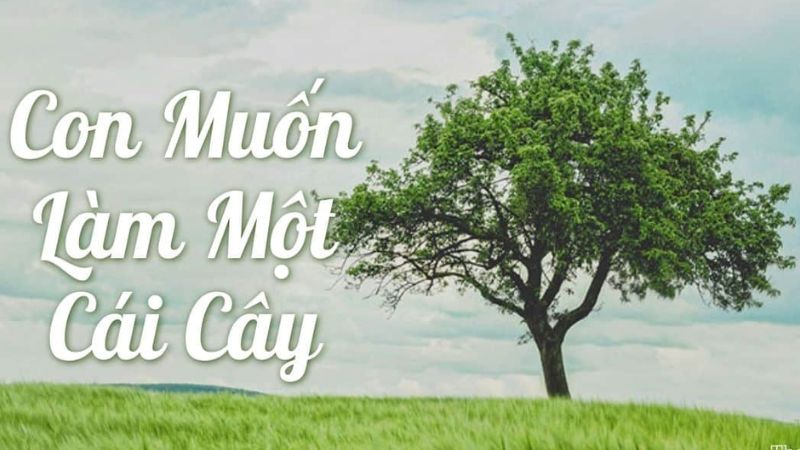 Con muốn làm một cái cây