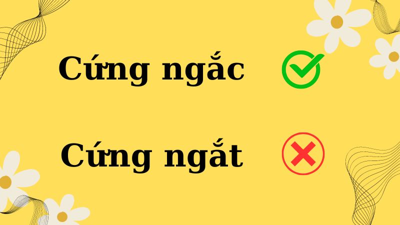 Cứng ngắc hay cứng ngắt