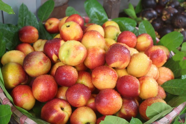 Peaches sapa không chỉ đẹp mà còn ngọt ngào và giòn