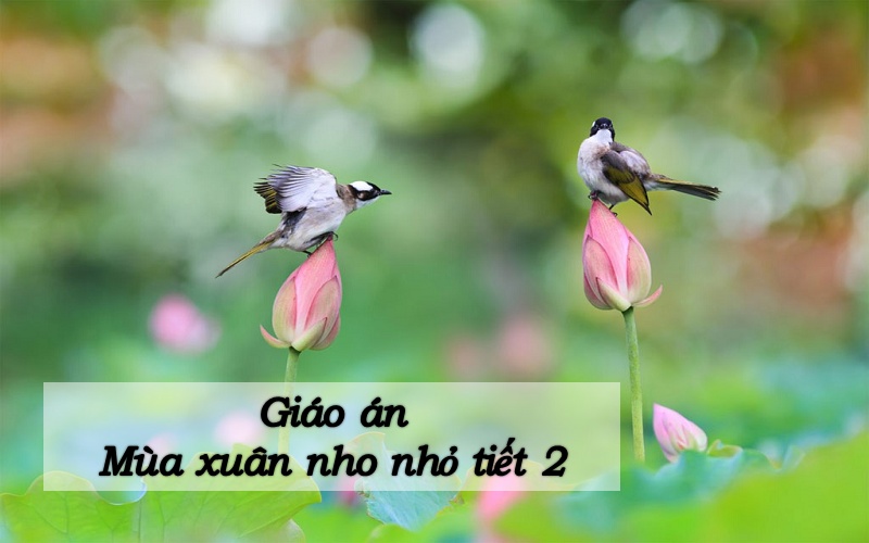 Giáo án bài Mùa xuân nho nhỏ