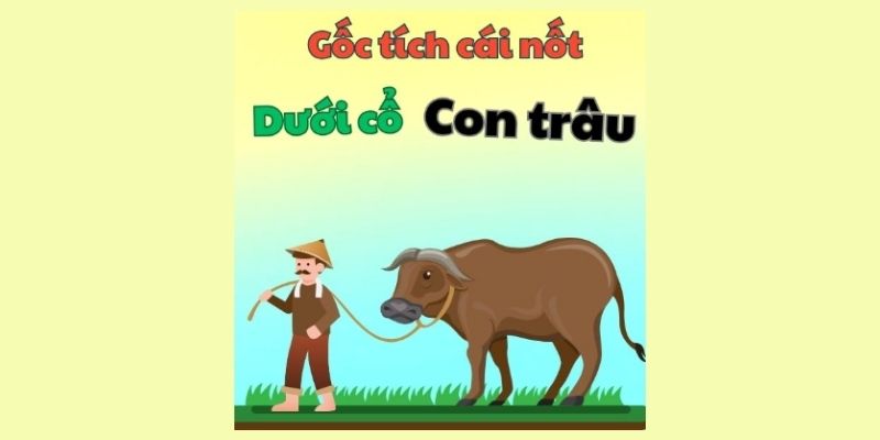 gốc tích cái nốt dưới cổ con trâu