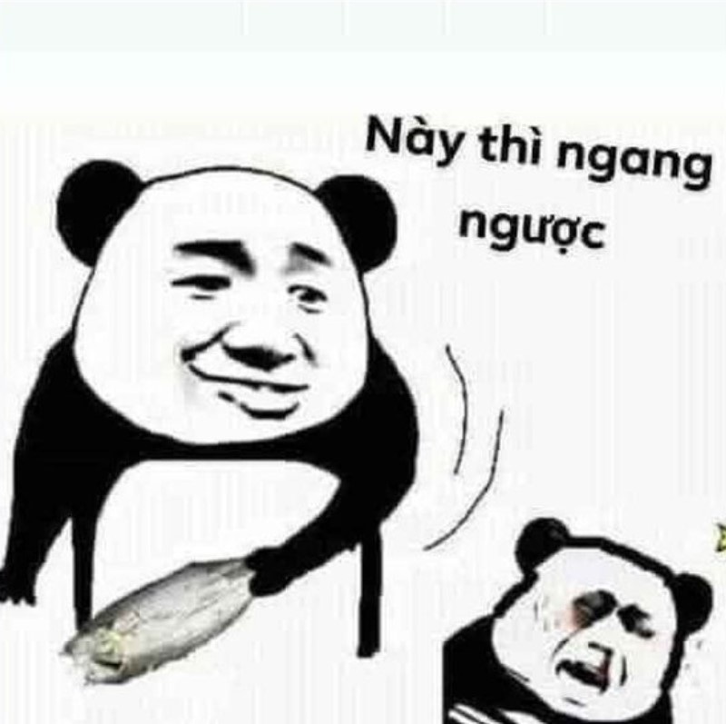 hình ảnh meme tức