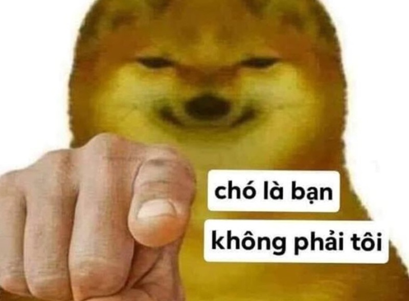 hình chó chỉ tay meme