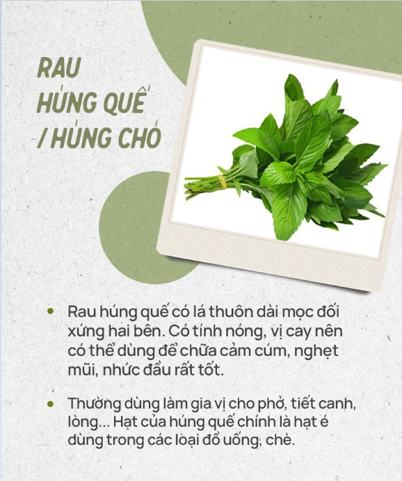 húng quế