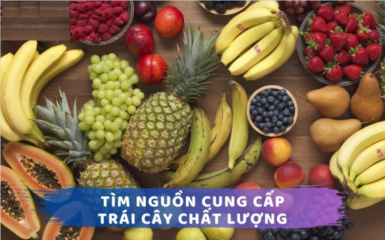 Nguồn trái cây chất lượng có uy tín