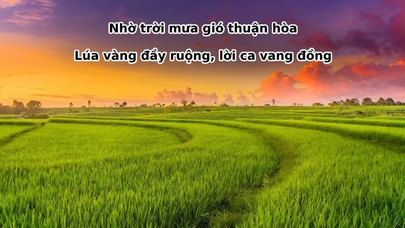 Ca dao về lao động sản xuất hay và ý nghĩa