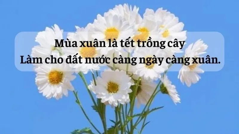 Những câu tục ngữ về giản dị trong cuộc sống 2