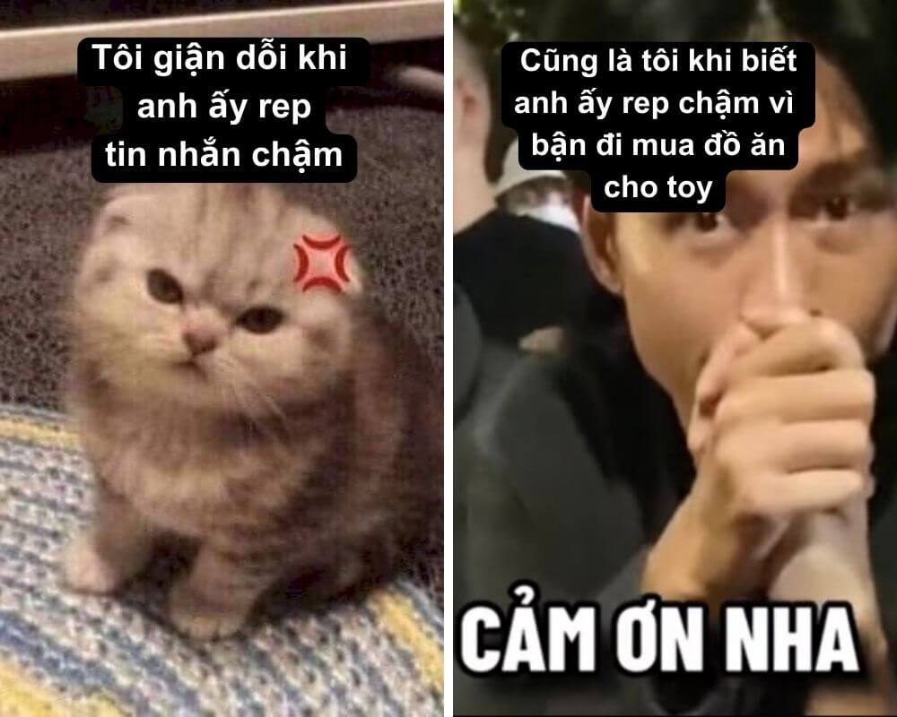 Meme cảm ơn nha