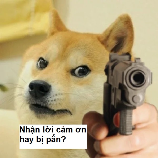 Meme chó cầm súng cảm ơn