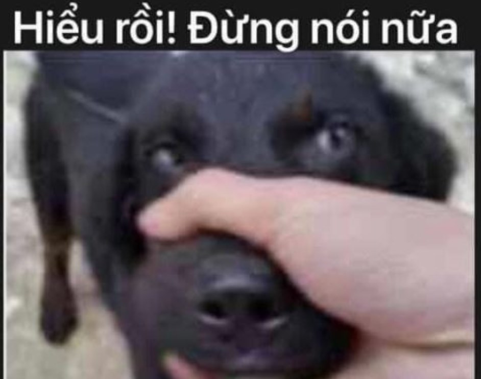 meme đừng nói nữa