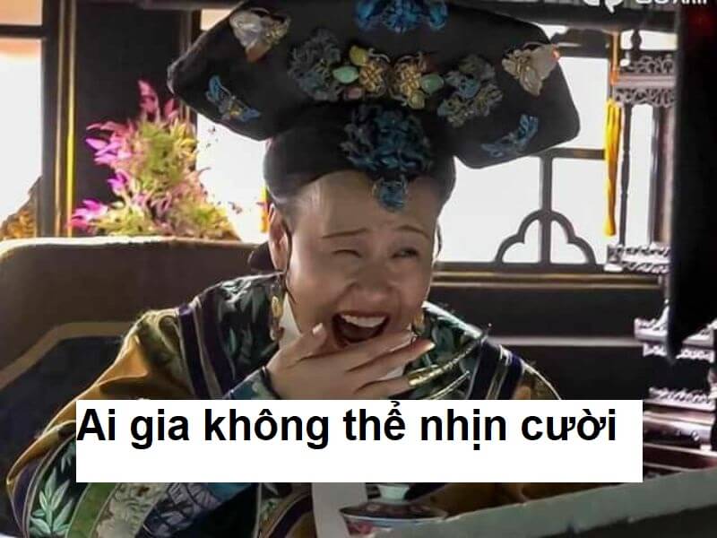 Meme thái hậu cười