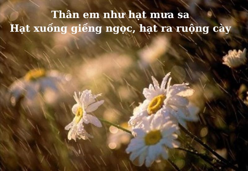 những bài ca dao về yêu thương tình nghĩa