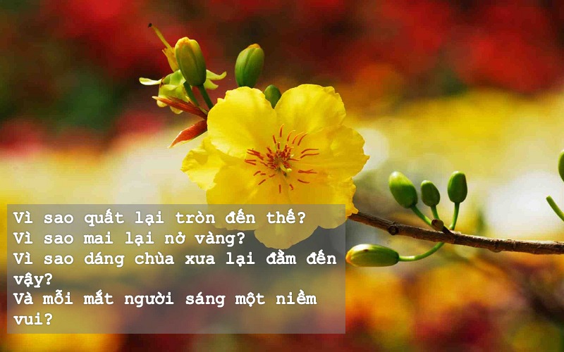 Những câu hỏi đầu năm