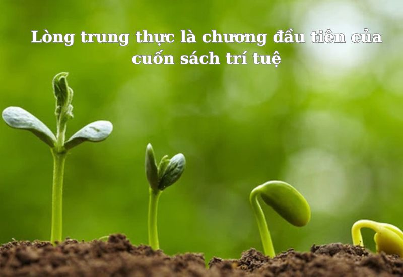 những câu nói hay về sống ngay thẳng 