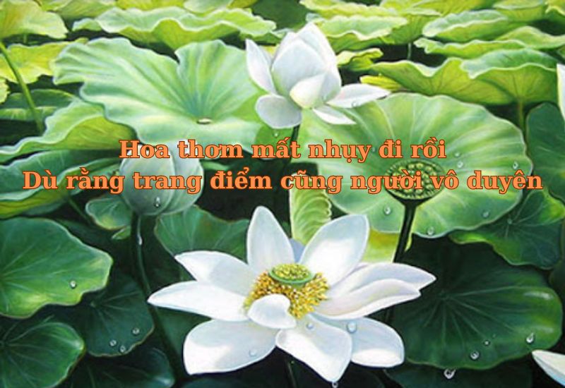 những câu tục ngữ nói về người vô duyên 