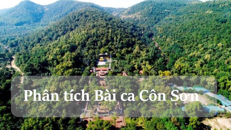 phân tích bài ca côn sơn