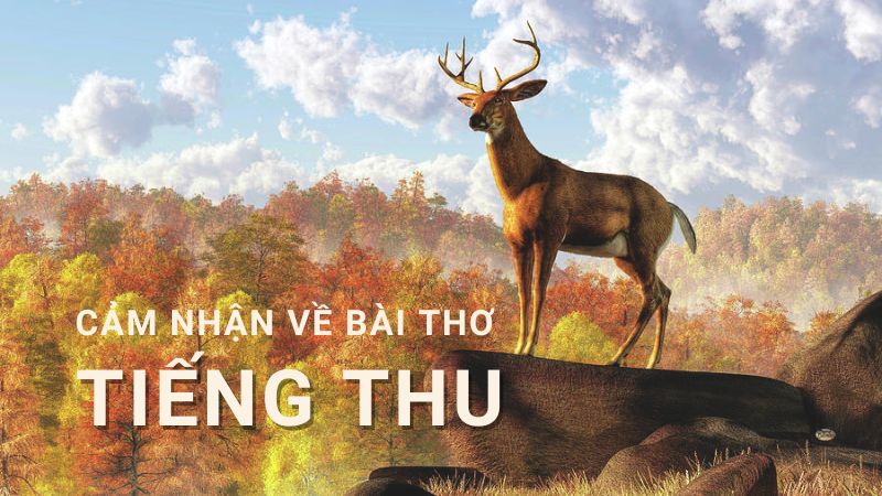 phân tích bài tiếng thu