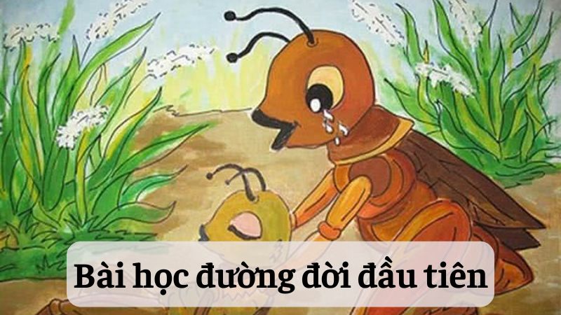 phân tích nhân vật Dế Mèn trong Bài học đường đời đầu tiên