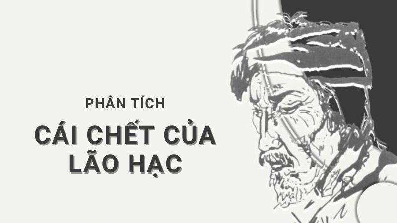 phân tích về nhân vật lão Hạc ngắn gọn