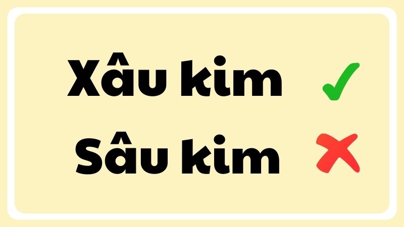 xâu kim hay sâu kim