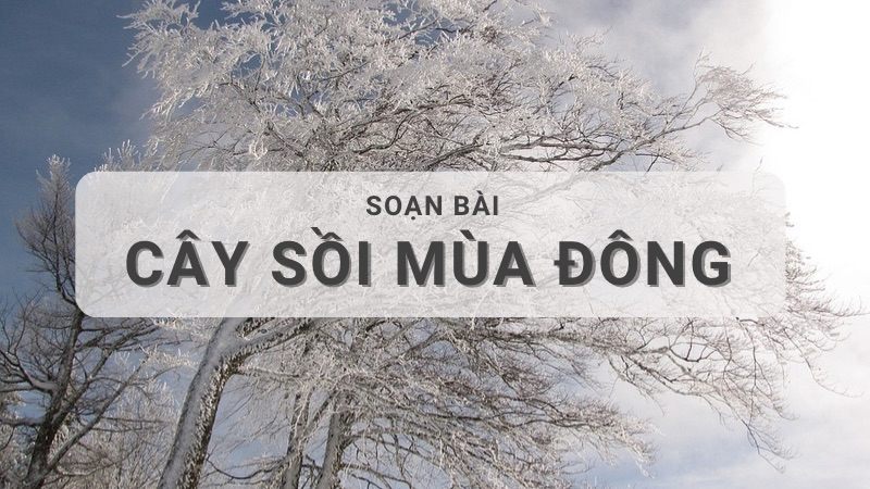 Soạn bài Cây sồi mùa đông