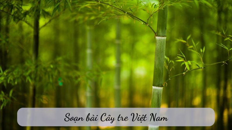 soạn bài Cây tre Việt Nam