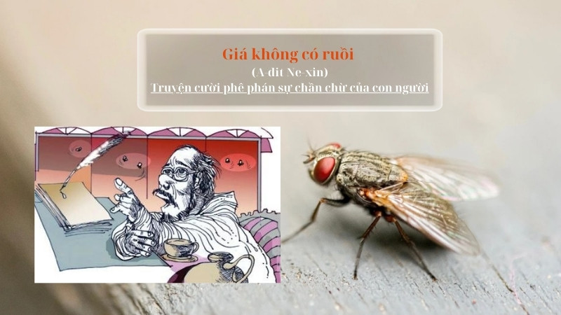 soạn bài giá không có ruồi