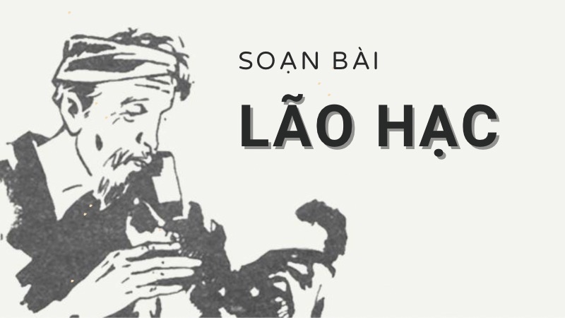 soạn bài lão hạc