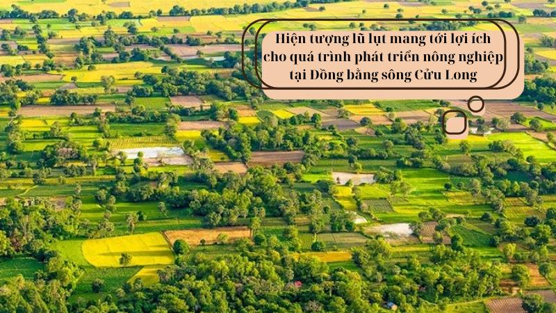 soạn bài Miền châu thổ sông Cửu Long cần chuyển đổi từ sống chung sang chào đón lũ lớp 8