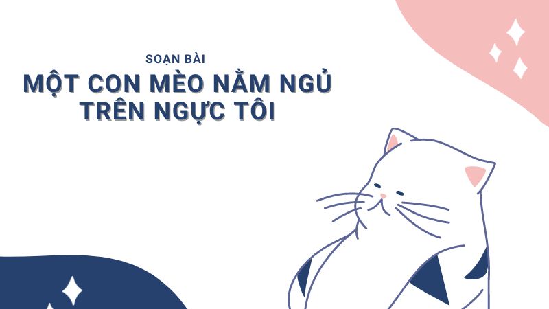 Soạn bài Một con mèo nằm ngủ trên ngực tôi văn lớp 7