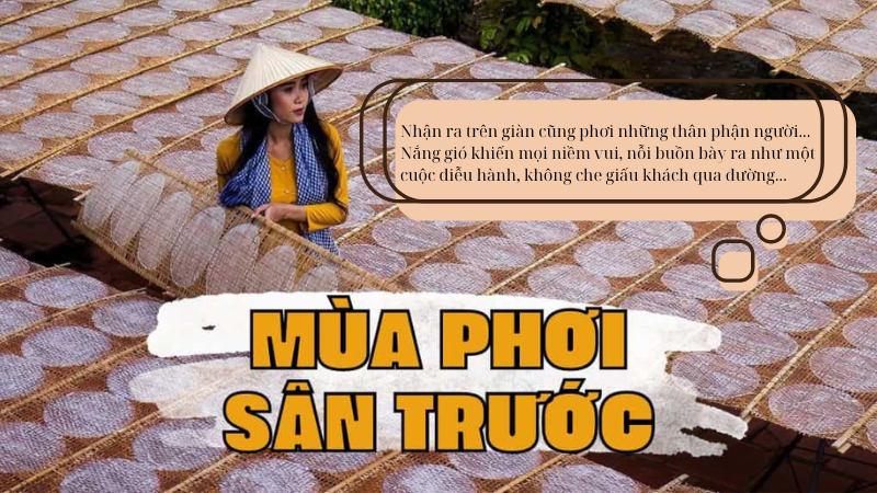 soạn bài mùa phơi sân trước