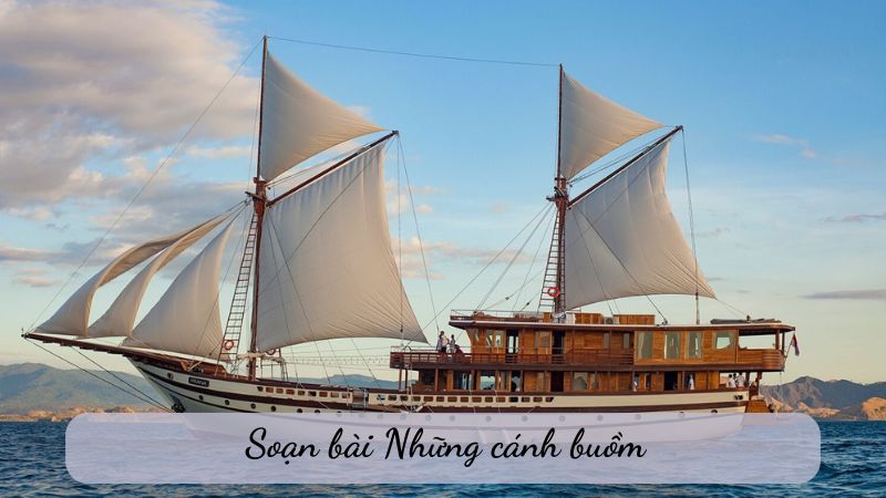 soạn bài Những cánh buồm