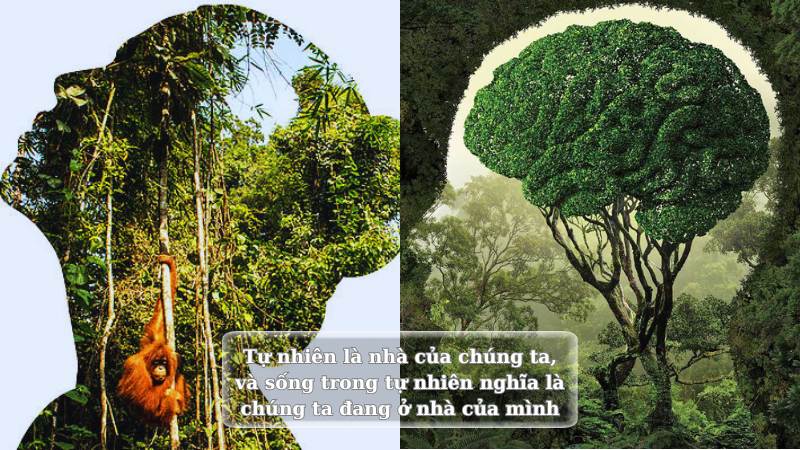 soạn bài về chính chúng ta kết nối tri thức