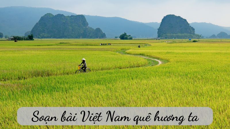 Soạn bài Việt Nam quê hương ta