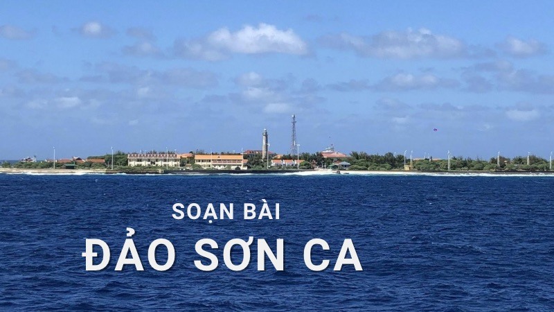 soạn văn 8 đảo sơn ca