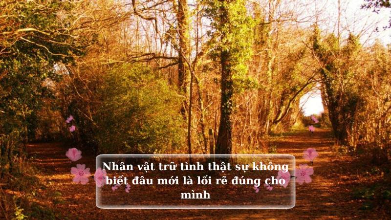 soạn văn con đường không chọn