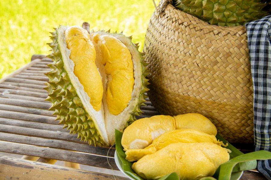 Cai Mon Durian - Đặc sản Ben Tre