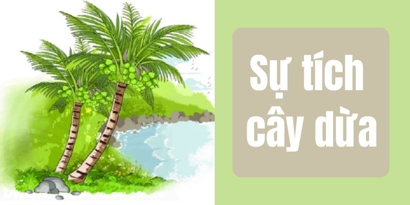 sự tích cây dừa