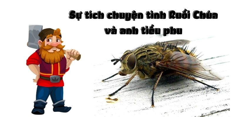 sự tích chuyện tình Ruồi chúa và anh tiều phu