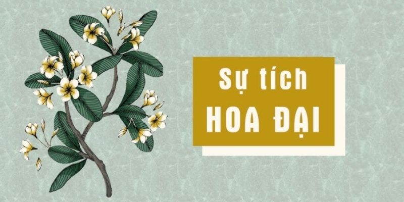 sự tích hoa đại