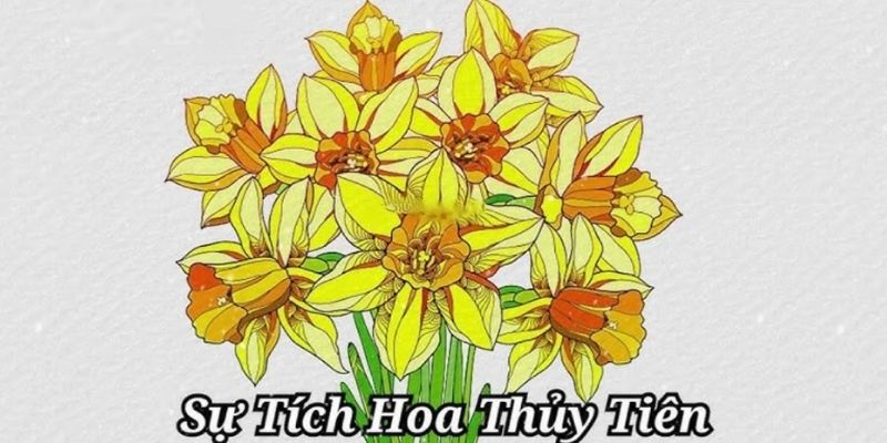 sự tích hoa thuỷ tiên