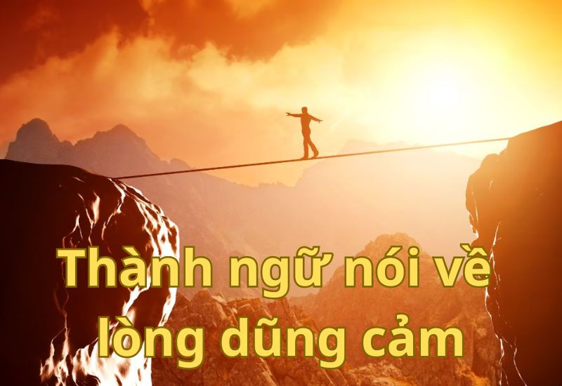 thành ngữ về lòng dũng cảm