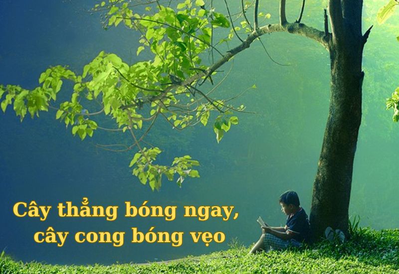 thành ngữ về trung thực