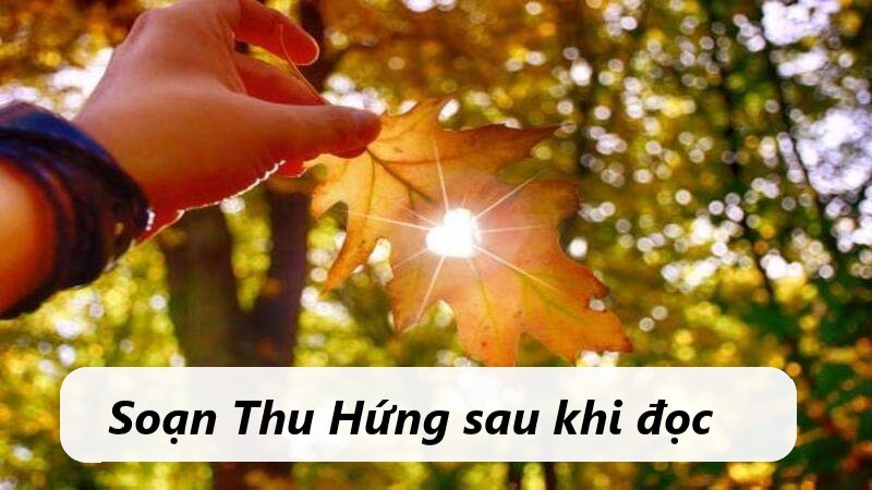 thu hứng soạn bài