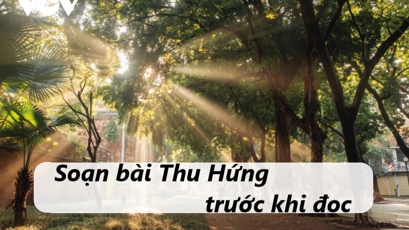 thu hứng