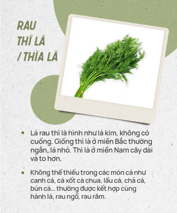 Muỗng thực vật là