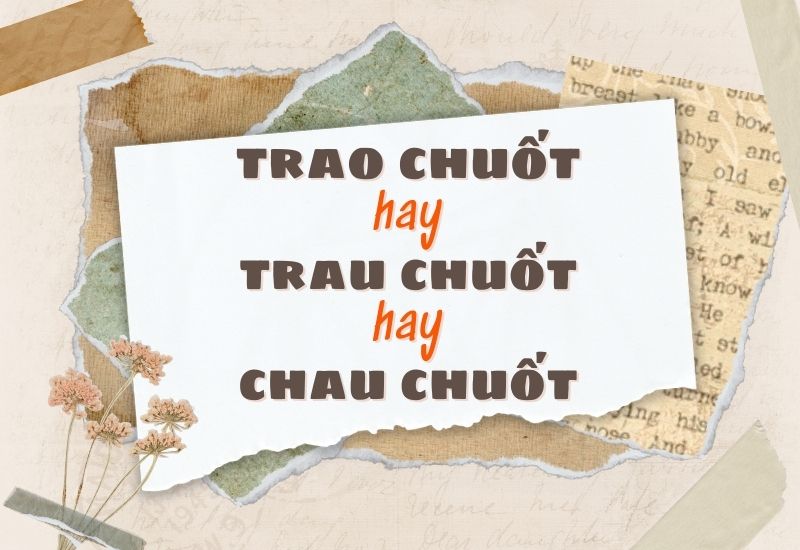 trao chuốt hay trau chuốt hay chau chuốt