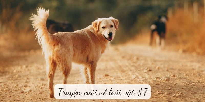 Truyện cười về loài vật #7