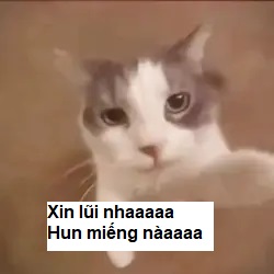 Xin lỗi nha, hôn miếng nà