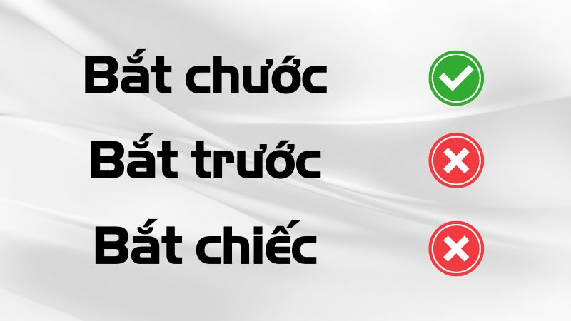 Bắt trước hay bắt chước hay bắt chiếc